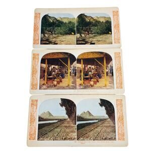 Antique World Series Color Stereoview Lot of 3 Arabia Native Tiffin House Egypt